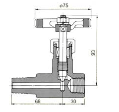 NKG Drain Valve DV21